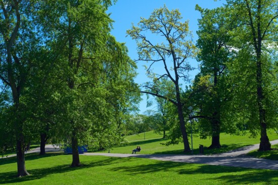 Helsingin Kaivopuisto